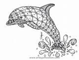 Dolphin Zentangle Coloring Pages Google Pt Zentangles Dolphins Patterns Colouring Community Fun sketch template