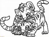 Mewarnai Harimau Tigers Gambar Tiger Marimewarnai Paud Lucu sketch template
