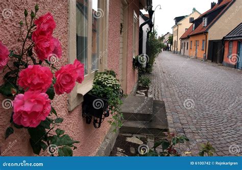 city  roses stock photo image  european roses medieval