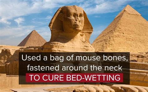 10 most bizzare and interesting facts about ancient egypt