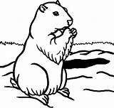 Groundhog Coloring Pages Color Drawings Clipart Animals Kids Library Comments sketch template