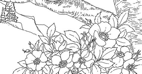 iowa state bird coloring page coloring pages