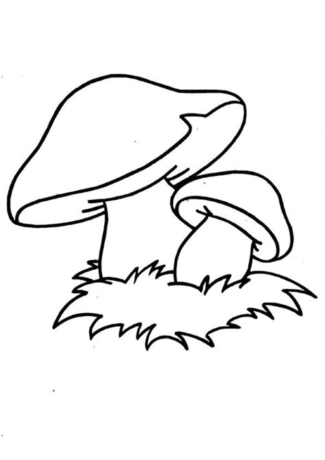 mushroom coloring page  kids   coloring pages coloring