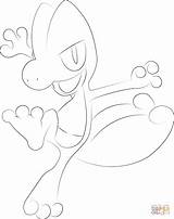 Coloring Pokemon Treecko Pages Printable Drawing sketch template
