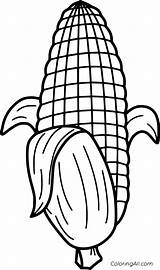 Vegetable Corn Maize Coloringall Device Ears sketch template