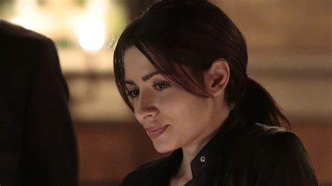 Sarah Shahi There S Nothing Geeky About Person Of