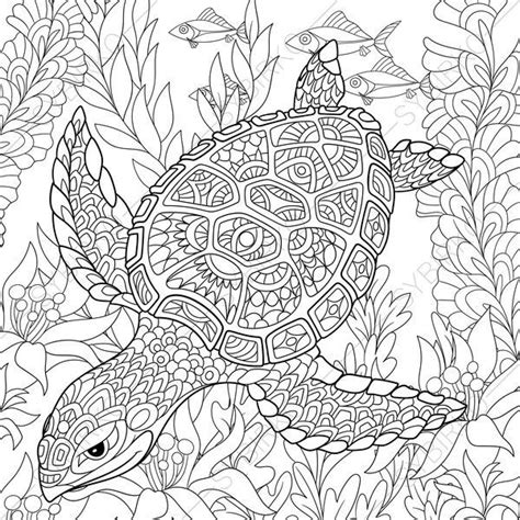 coloring pages  adults digital coloring page turtle sea etsy