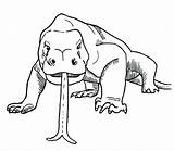 Komodo Dragon Drawing Head Clipart Dragons Coloring Pages Animals Two Sixty Color Printable Animal Step Getdrawings Visit Paintingvalley Clipground Drawings sketch template