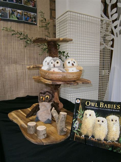 owl activities literature activities owl babies book baby owls owl