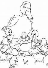 Duck Ducks sketch template