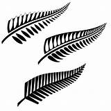 Fern Silver Maori Drawing Tattoo Tattootribes Clipart Designs Nz Tattoos Zealand Leaf Life Tranquillity Tribal Idinfo Index Clipground Paintingvalley Feather sketch template