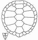 Turtle Pattern Shell Coloring Drawing Draw Pages Clipart Sketch Cliparts Clip Line Shells Book Kids Library Choose Board Reptiles sketch template