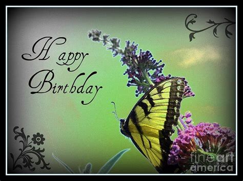 birthday butterfly quotes quotesgram