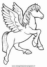 Pegasus Cavallo Pegaso Licorne Unicornio Coloriage Cavalli Personnages Coloringhome Fantasia Sketsa Fantasie Einhorn Wixstatic Unicron Mitologici Colorir Ausmalbilder Fliegen Coloriages sketch template