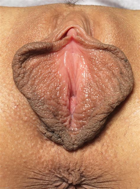 i heart cunt lips a pussy pussy shot close up pink labia butterfly image uploaded by user