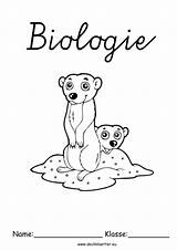 Deckblatt Biologie Tiere Mikroskopische Vorlage Herunterladen sketch template