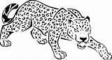 Panthera Gepard Felin Ausmalbild Ausdrucken Ausmalen Geparden Coloriages Cheetah Raskrasil Imprimé sketch template