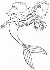 Ariel Coloring Pages Disney Princess Sebastian Characters Walt Fanpop sketch template
