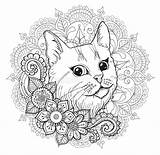 Mandala Coloriage Kucing Lucu Coloration Kleurend Mewarnai Licorne Fabuleuse Blanche Mehendi sketch template