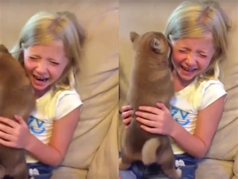 vídeo menina ganha cachorro de presente e chora de alegria crescer curiosidades