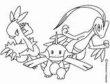 Pokemon Coloring Pages Combusken Marshtomp Kyogre Color Battles Greninja Para Pikachu Printable Print Imprimir sketch template