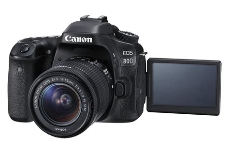 canon eos   multimedia workhorse evolved newsshooter