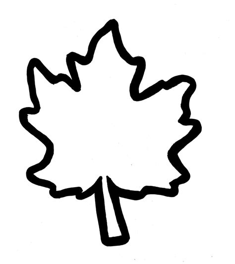 maple leaf template  printable clipart
