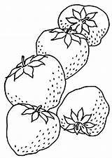 Morango Colorir Erdbeere Morangos Ausmalbild Desenhar sketch template