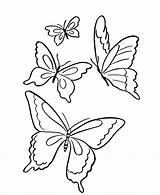 Kolorowanki Motyle Motylami Owady Obrazki Kolorowania sketch template