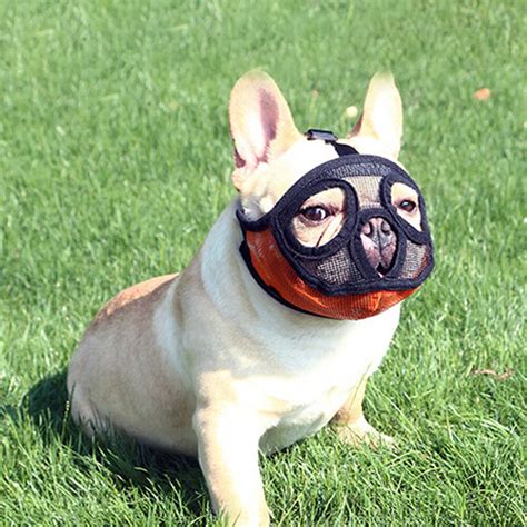 modernisierung empfindlich statisch bulldog maske test sanders verschiedene waren wuerzig