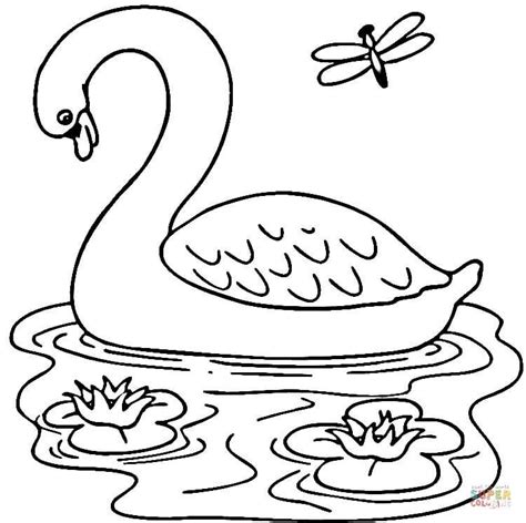 swan coloring pages  getcoloringscom  printable colorings
