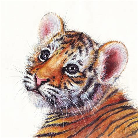 tiger cub watercolor painting painting  olga shvartsur fine art america