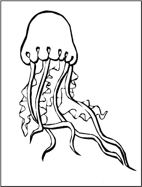 sea animal jellyfish coloring sheet