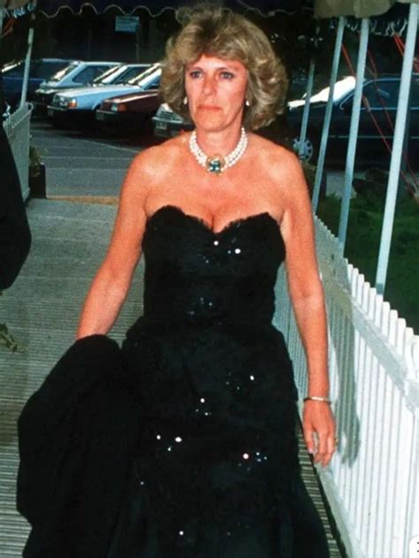 How Did Princess Diana S Revenge Dress Acquire Its Name