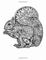 Zentangle Squirrel Choose Board Book Coloring sketch template