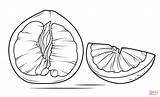 Pomelo Pampelmuse Fruits Sliced Aufgeschnitten Partido Kategorien sketch template