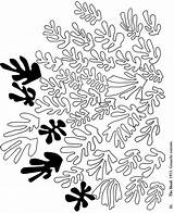 Matisse sketch template