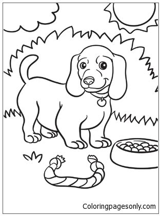 weiner dog puppy coloring page  printable coloring pages