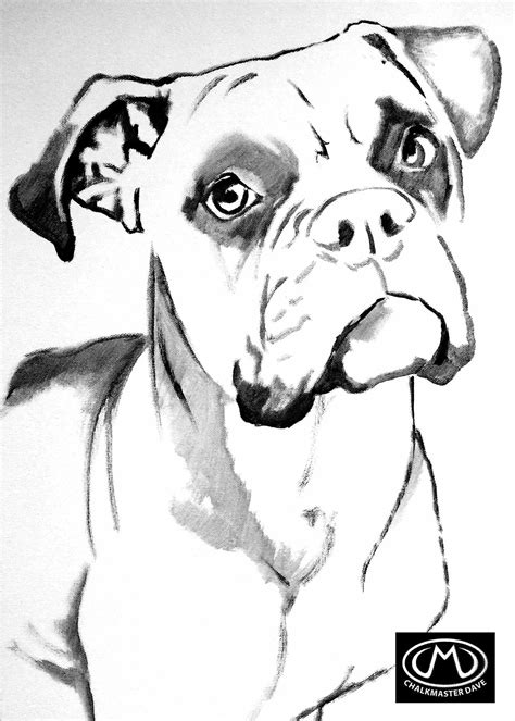 boxer colouring page boxer dogs art canine art boxer painting