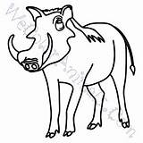 Warthog Coloring Pages Click sketch template