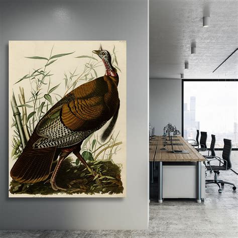 wild turkey by audubon canvas print or poster canvas art rocks