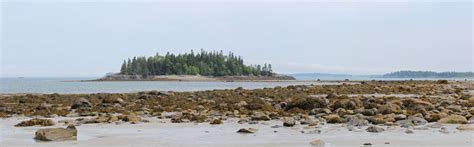 sandy river beach outing downeast thunder farm