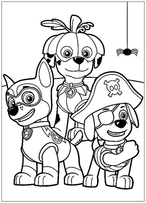 dessin de paw patrol