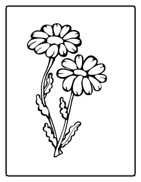 flower coloring pages  coloring pages  print