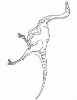 Coloring Dinosaur Gallimimus Pages Para Colorear Realistic Printable Dibujo Clip Color Library Clipart Flying Popular sketch template