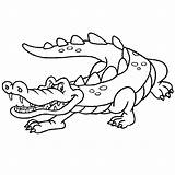 Krokodil Krokodillen Ausmalbilder Alligator Dieren Malvorlagen Tekeningen Q4 Gemene sketch template