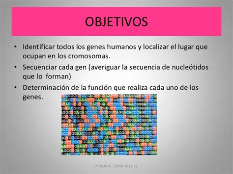 El Proyecto Genoma Humano