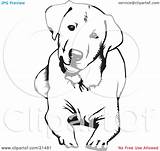 Labrador Coloring Retriever Dog Pages Clipart Lab Lying Down Head Cute Drawings Outline Drawing Illustration Vector Curious Clip Line Silhouette sketch template
