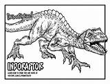 Indoraptor Jurrasic Jurasic Dino Velociraptor Indominus Coloringhome sketch template
