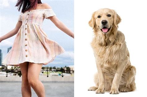 dog breed   based   outfit  style  urban outfitters fashion quizzes